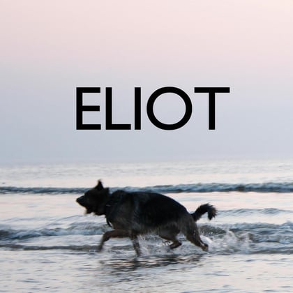 Eliot album by Lupo - Drum and Bass Cover Art
