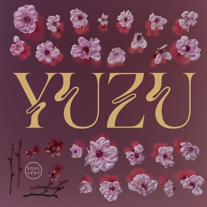 Yuzu album by Hugh Hardie - Drum and Bass Cover Art