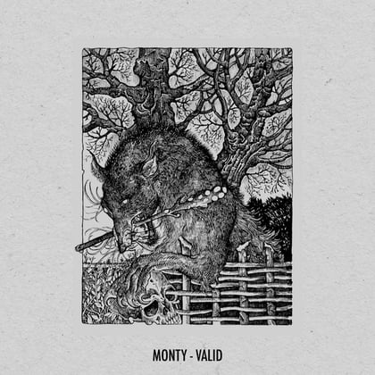 Valid album by Monty - Drum and Bass Cover Art