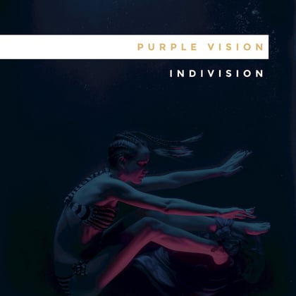 Purple Vision album by Indivision - Drum and Bass Cover Art