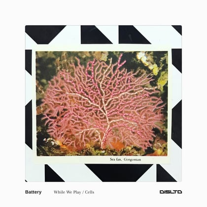 While We Play / Cells album by Battery - Drum and Bass Cover Art