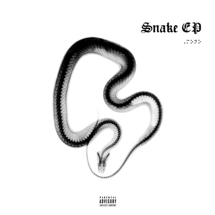 Snake EP album by P Money - Drum and Bass Cover Art