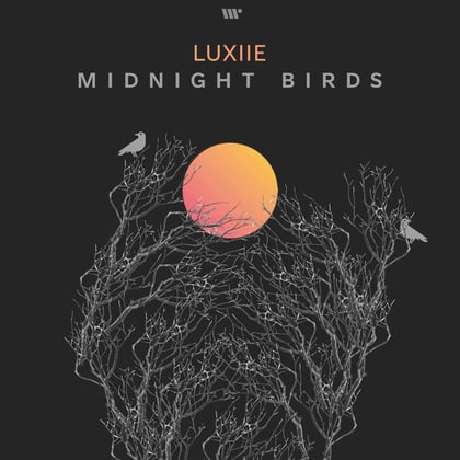 Midnight Birds album by Luxiie - Drum and Bass Cover Art
