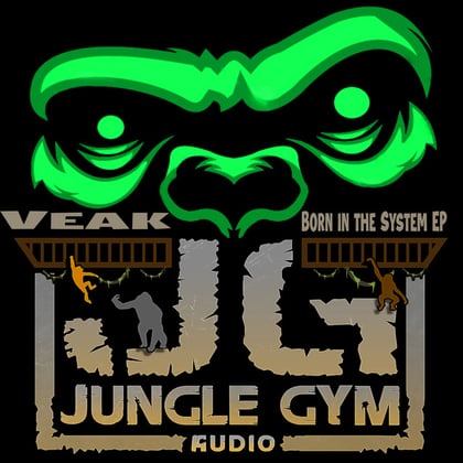 Born in the System album by Salaryman & Veak - Drum and Bass Cover Art