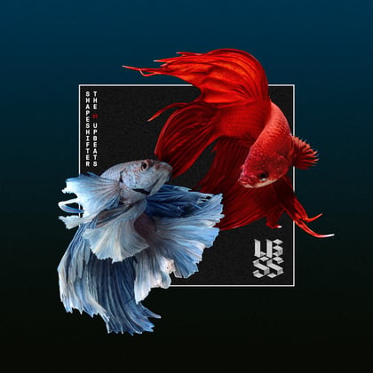 SSXUB album by Terminus, Shapeshifter & The Upbeats - Drum and Bass Cover Art