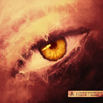 Focus / Russo album by Leks - Drum and Bass Cover Art