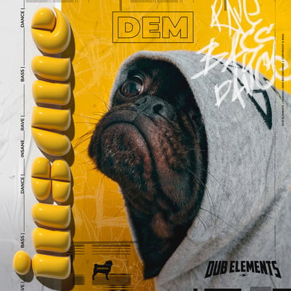 Insane album by Dub Elements - Drum and Bass Cover Art