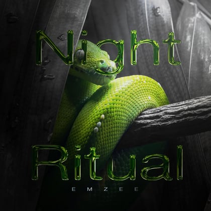 Night Ritual album by EmZee - Drum and Bass Cover Art