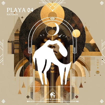 Playa 04 album by Tengu, Natoria & Cafe De Anatolia - Drum and Bass Cover Art