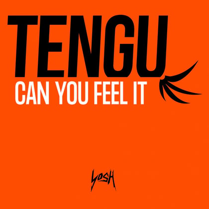 Can You Feel It album by Tengu - Drum and Bass Cover Art