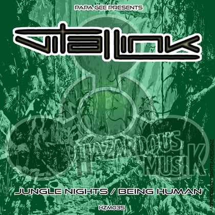 Jungle Nights/Being Human album by Vital Link - Drum and Bass Cover Art