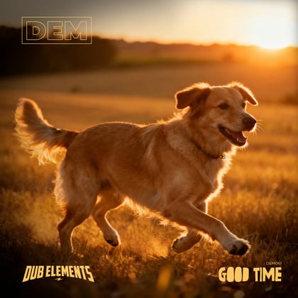 Good Time album by Dub Elements - Drum and Bass Cover Art