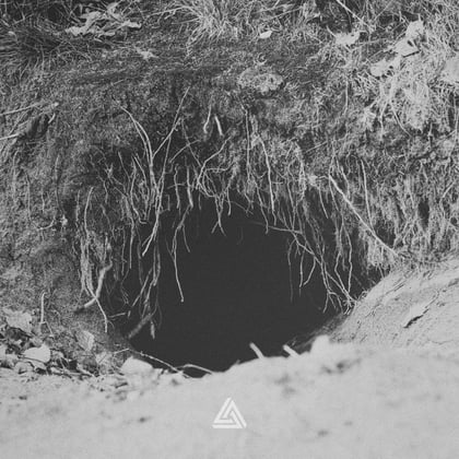 Groundhog album by Levela - Drum and Bass Cover Art