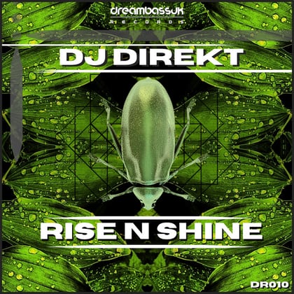 Rise n Shine E.p album by DJ Direkt - Drum and Bass Cover Art