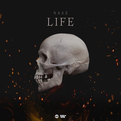 Life album by Nasz - Drum and Bass Cover Art