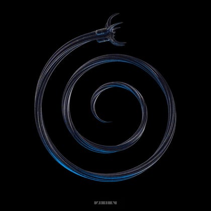 Reconnect (Burr Oak Remix) Cover Image