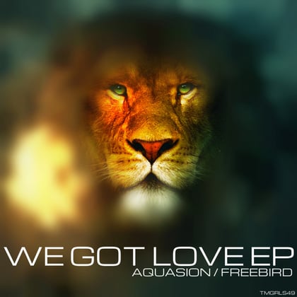 We Got Love EP album by Aquasion - Drum and Bass Cover Art