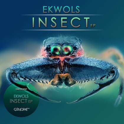 Insect album by Ekwols - Drum and Bass Cover Art