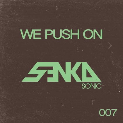We Push On album by Dub Phizix - Drum and Bass Cover Art