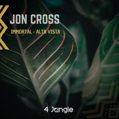Immortal / Alta Vista album by Jon Cross - Drum and Bass Cover Art