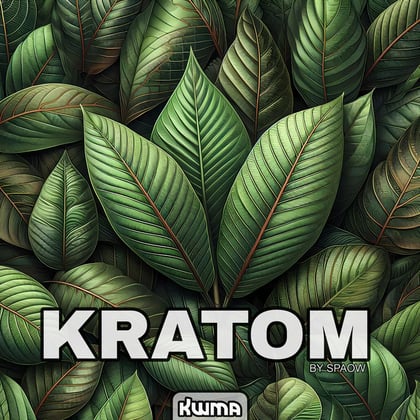 Kratom album by Spaow - Drum and Bass Cover Art