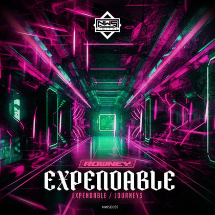 Expendable / Journeys album by Rowney - Drum and Bass Cover Art