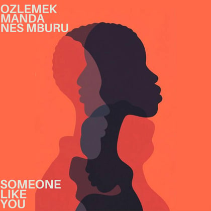 SOMEONE LIKE YOU album by Tengu, OZLEMEK & Manda - Drum and Bass Cover Art
