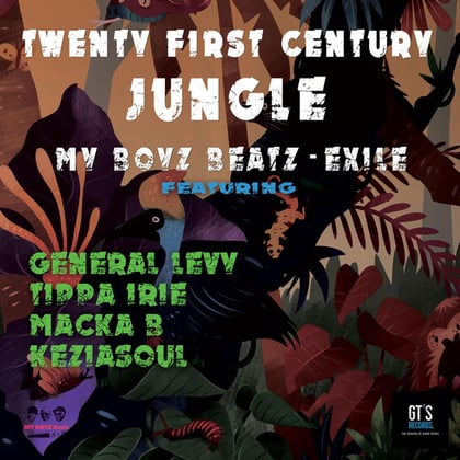 Twenty First Century Jungle album by Exile - Drum and Bass Cover Art