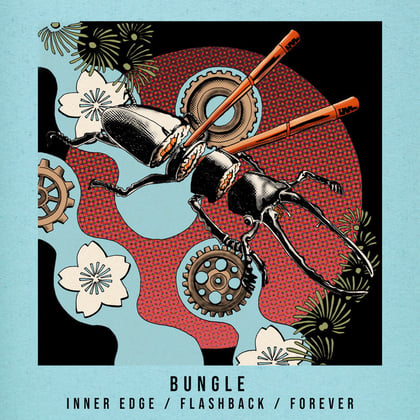 Flashback album by Bungle - Drum and Bass Cover Art