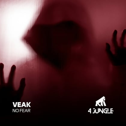 No Fear album by Salaryman & Veak - Drum and Bass Cover Art