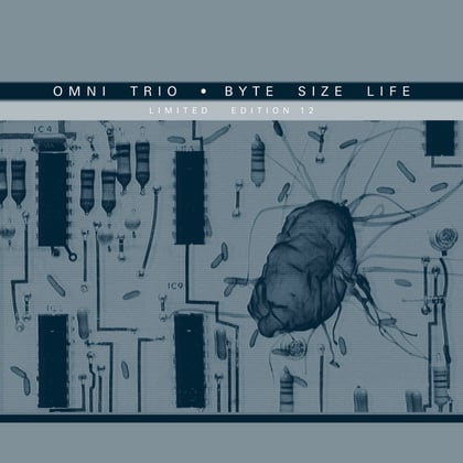 Byte Size Life (Shimon Remix) / Byte Size Life (Mr Scruff Remix) album by Omni Trio - Drum and Bass Cover Art