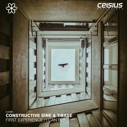 First Experience / I Can Fly album by T:Base - Drum and Bass Cover Art