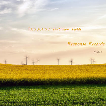 Forbidden Fields album by Response - Drum and Bass Cover Art