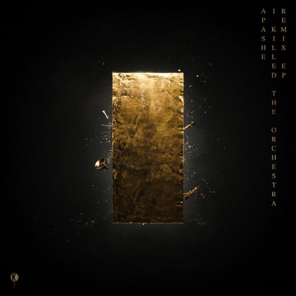 Never Change (The Caracal Project Remix) album by The Caracal Project - Drum and Bass Cover Art