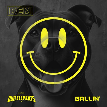 Ballin' album by Dub Elements - Drum and Bass Cover Art