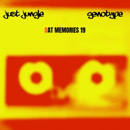 DAT Memories 19 album by Genotype - Drum and Bass Cover Art