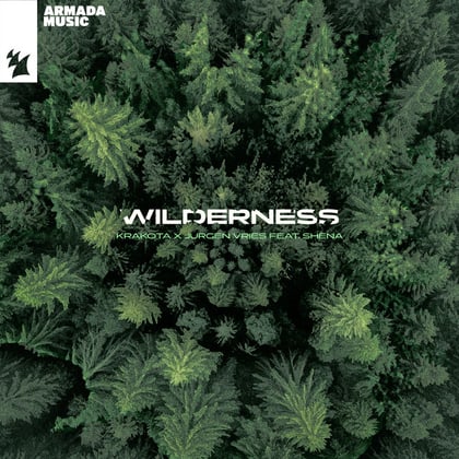 Wilderness album by Krakota - Drum and Bass Cover Art