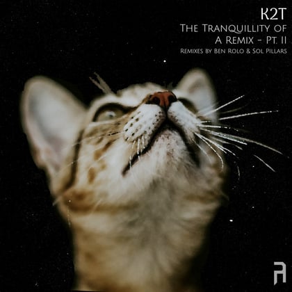 The Tranquillity of A Remix - Pt. II album by K2T - Drum and Bass Cover Art
