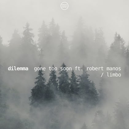 Gone Too Soon album by Dilemma - Drum and Bass Cover Art