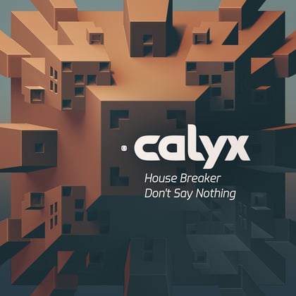 House Breaker / Don't Say Nothing album by Calyx - Drum and Bass Cover Art