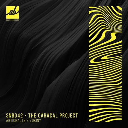 Artichauts / Zukiny album by The Caracal Project - Drum and Bass Cover Art