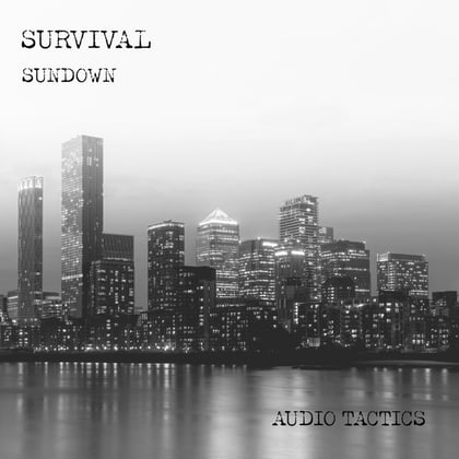 City Nights / Sundown album by Survival - Drum and Bass Cover Art