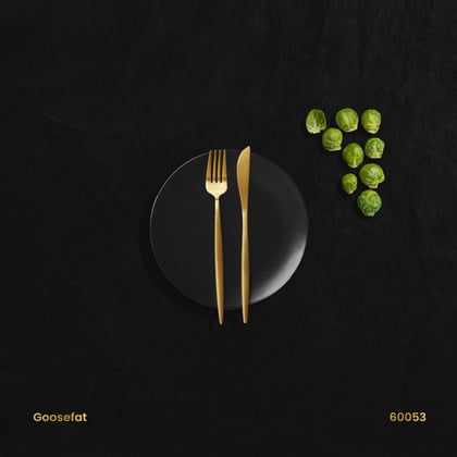 Goosefat Dub Pack album by pyxis - Drum and Bass Cover Art