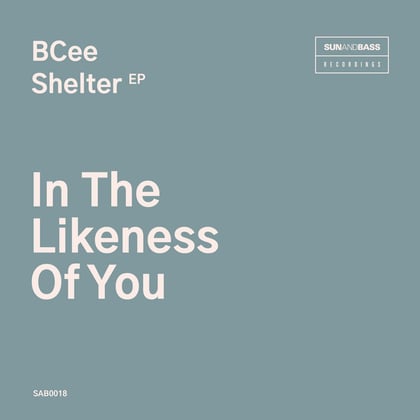 In The Likeness Of You album by BCee - Drum and Bass Cover Art