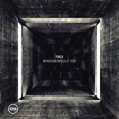Window / Would You album by Trex - Drum and Bass Cover Art