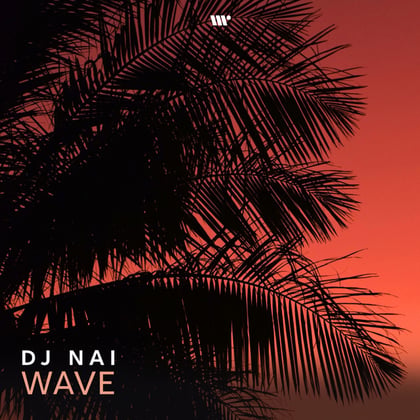 Wave album by DJ Nai - Drum and Bass Cover Art