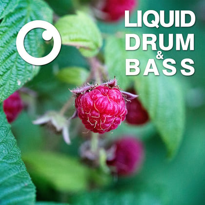 Liquid Drum & Bass Sessions 2020 Vol 13 : The Mix album by Dreazz - Drum and Bass Cover Art