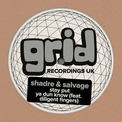 Stay Put album by Shadre, Salvage & Diligent Fingers - Drum and Bass Cover Art