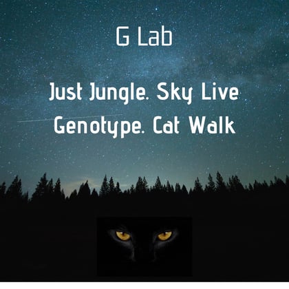 Sky Live / Cat Walk album by Genotype - Drum and Bass Cover Art