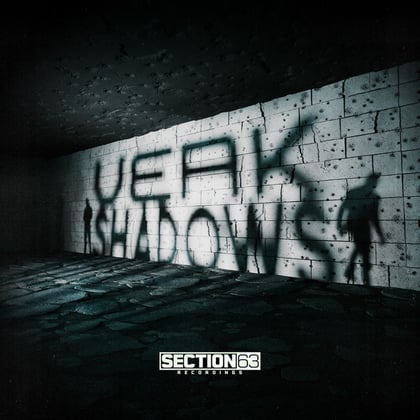 Shadows album by Salaryman & Veak - Drum and Bass Cover Art